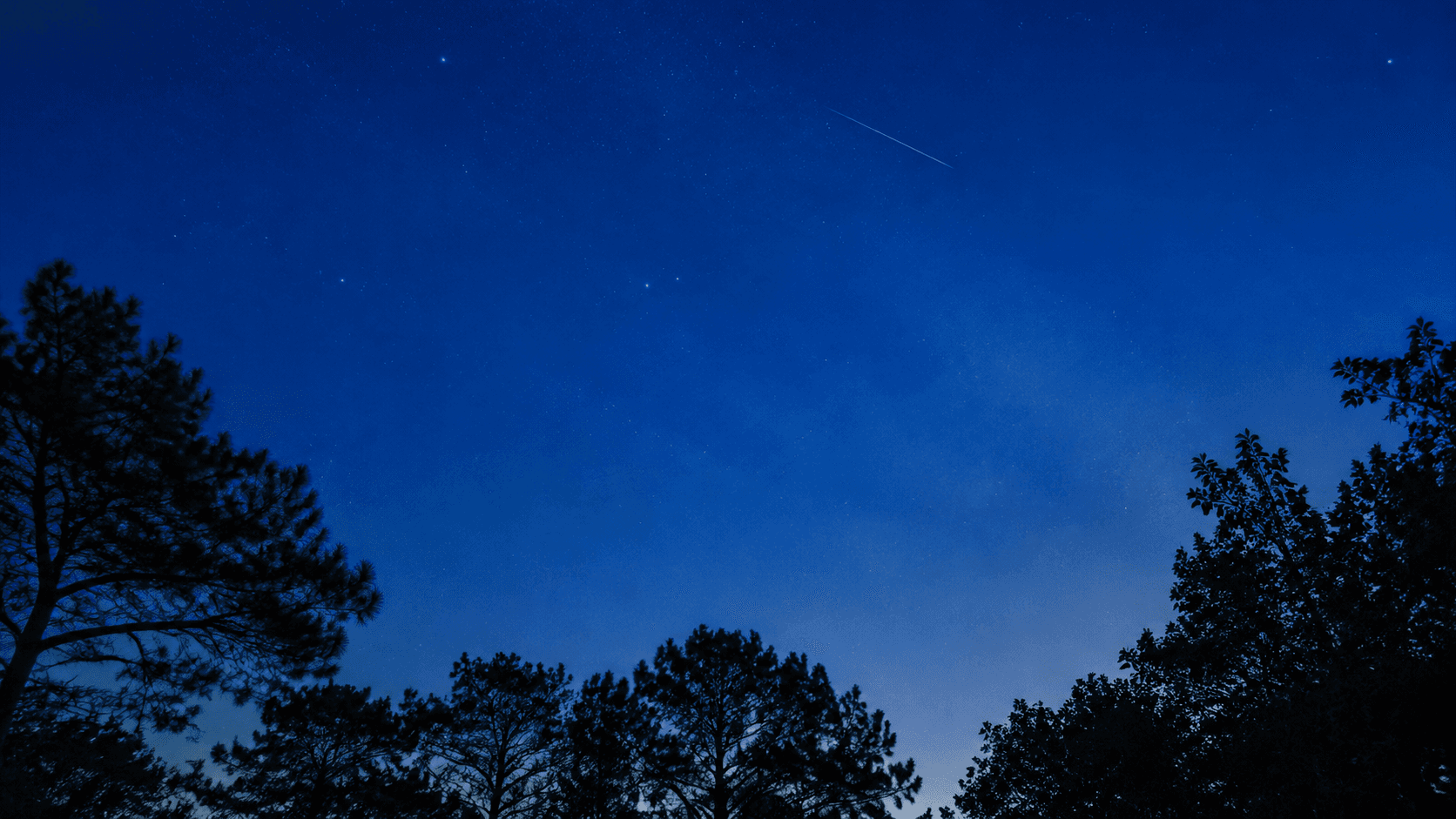A star-filled sky above the trees of Galicia, crossed by a shooting star.